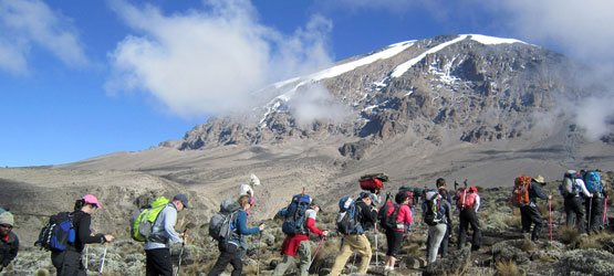 Tanzania Combine Safaris: The Best Way to Experience Wildlife, Culture, and Coast