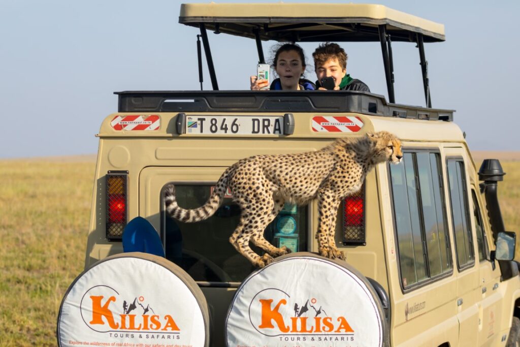 Planning a Family Safari in Tanzania: Child-Friendly Lodges & Safety Tips