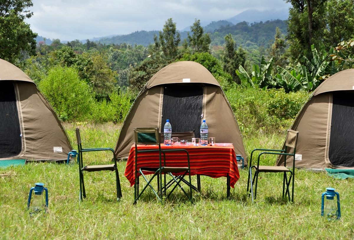Tanzania safari cost