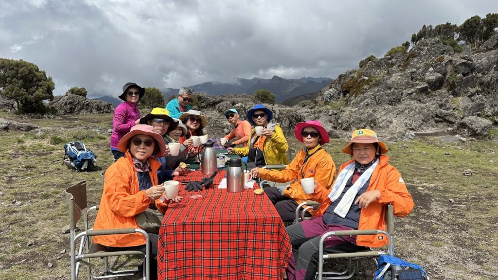 Lemosho vs Machame Route: Which Has the Highest Success Rate?