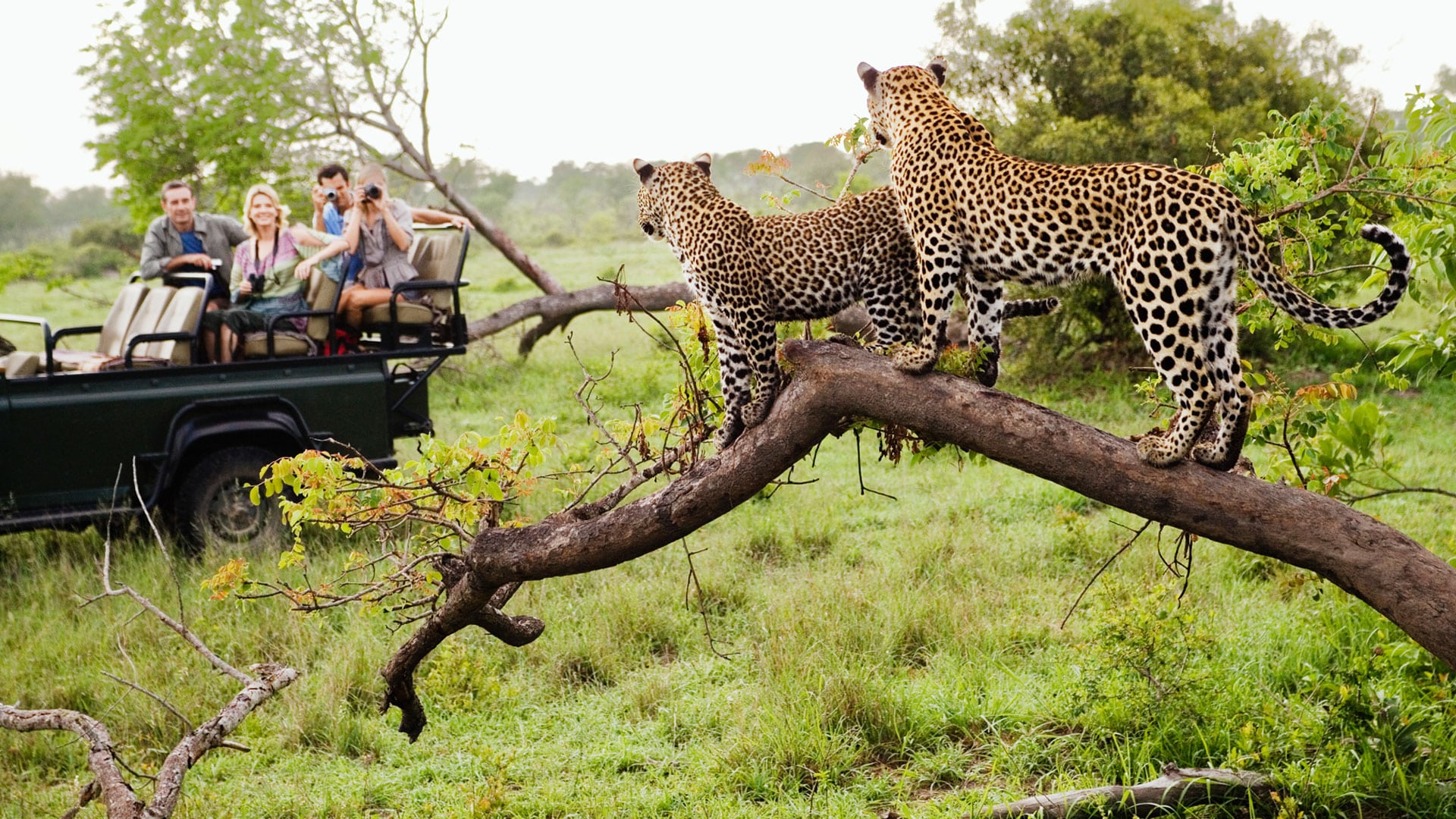 private safari tanzania