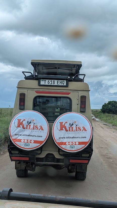 best-time-to-see-great-migration-serengeti