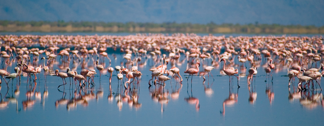why-visit-ngorongoro -crater